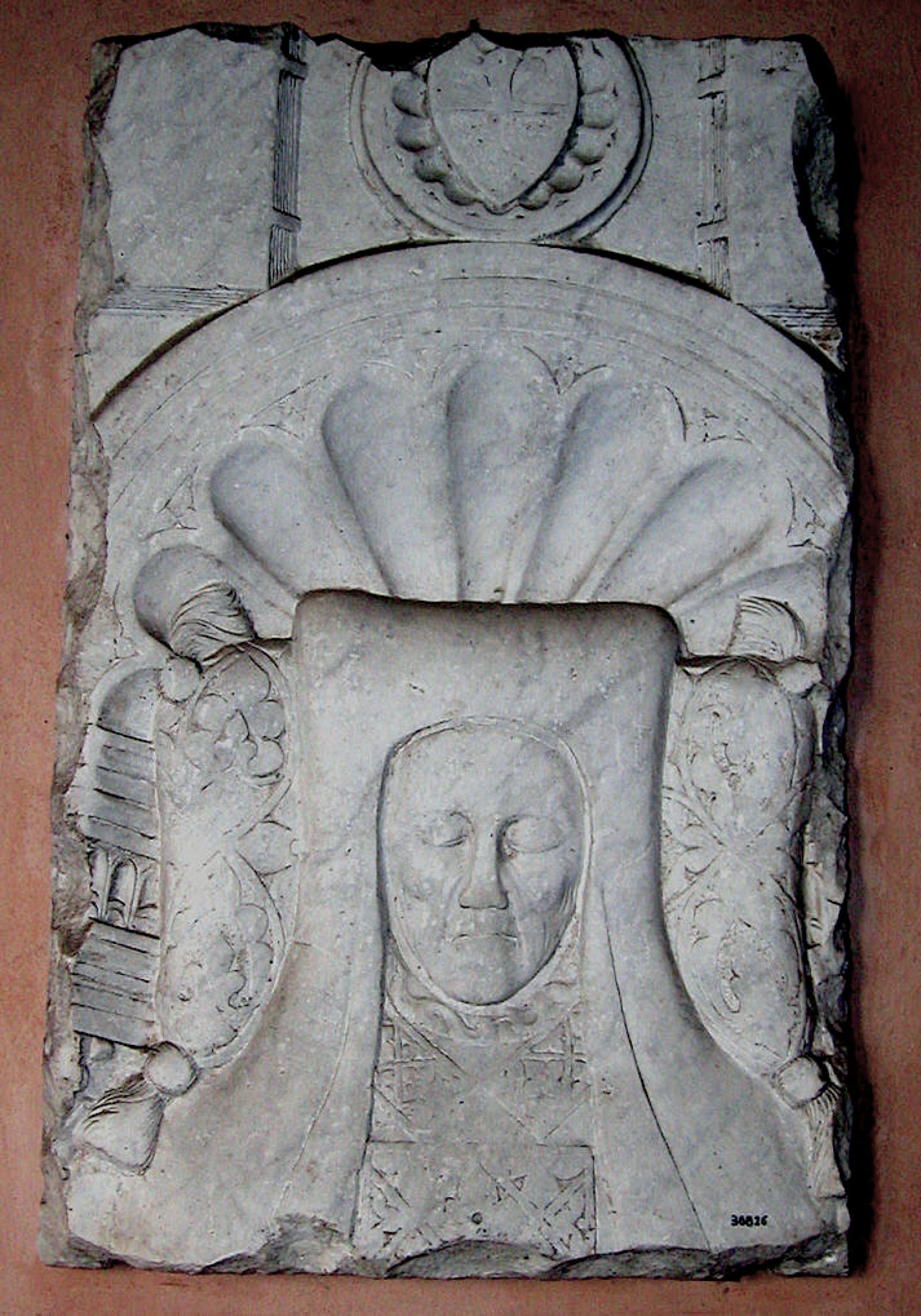 LCj85213